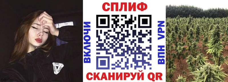 Где купить наркотики Бор ГАШИШ  Конопля  Кетамин  Мефедрон  APVP 