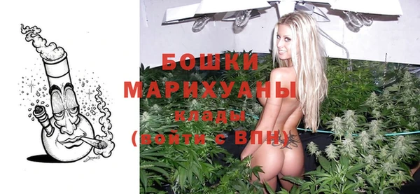 прущий лед Богданович