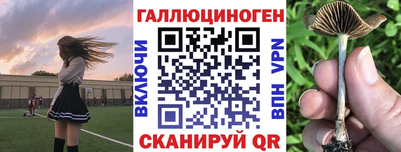 Псилоцибиновые грибы Psilocybe  цена наркотик  Бор 