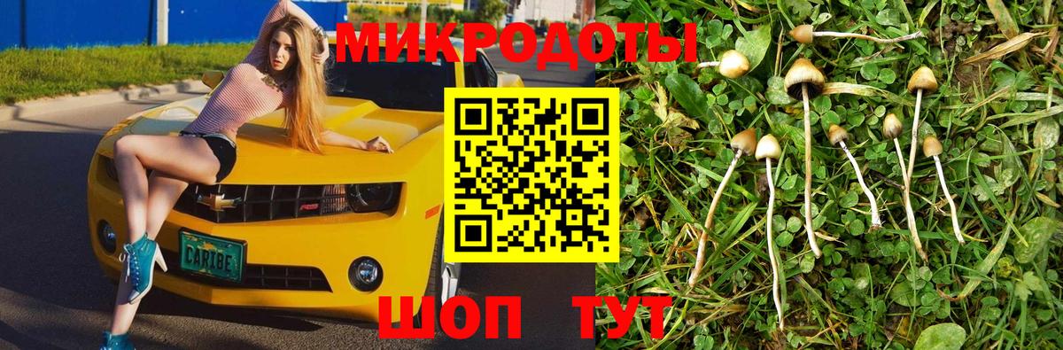 купить закладку  Галлюциногенные грибы MAGIC MUSHROOMS  Вход с VPN  Бор  Псилоцибиновые грибы Psilocybine cubensis 